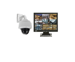 ip cams